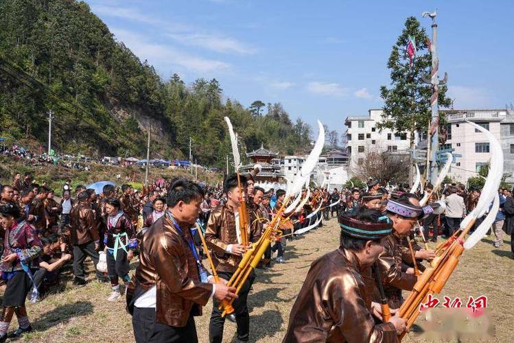 Sắc xuân trên đỉnh đèo Pha Ðin