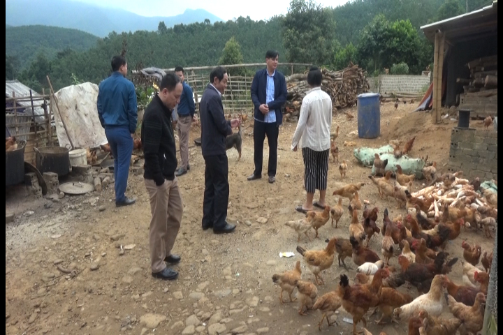 Đoàn Hubet88 của huyện đến thăm mô hình nuôi gà tại bản Hồng Lực, xã Nà Sáy.
