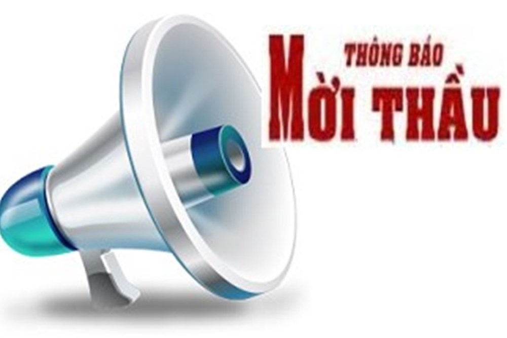 Hubet6600 đấu giá tài sản