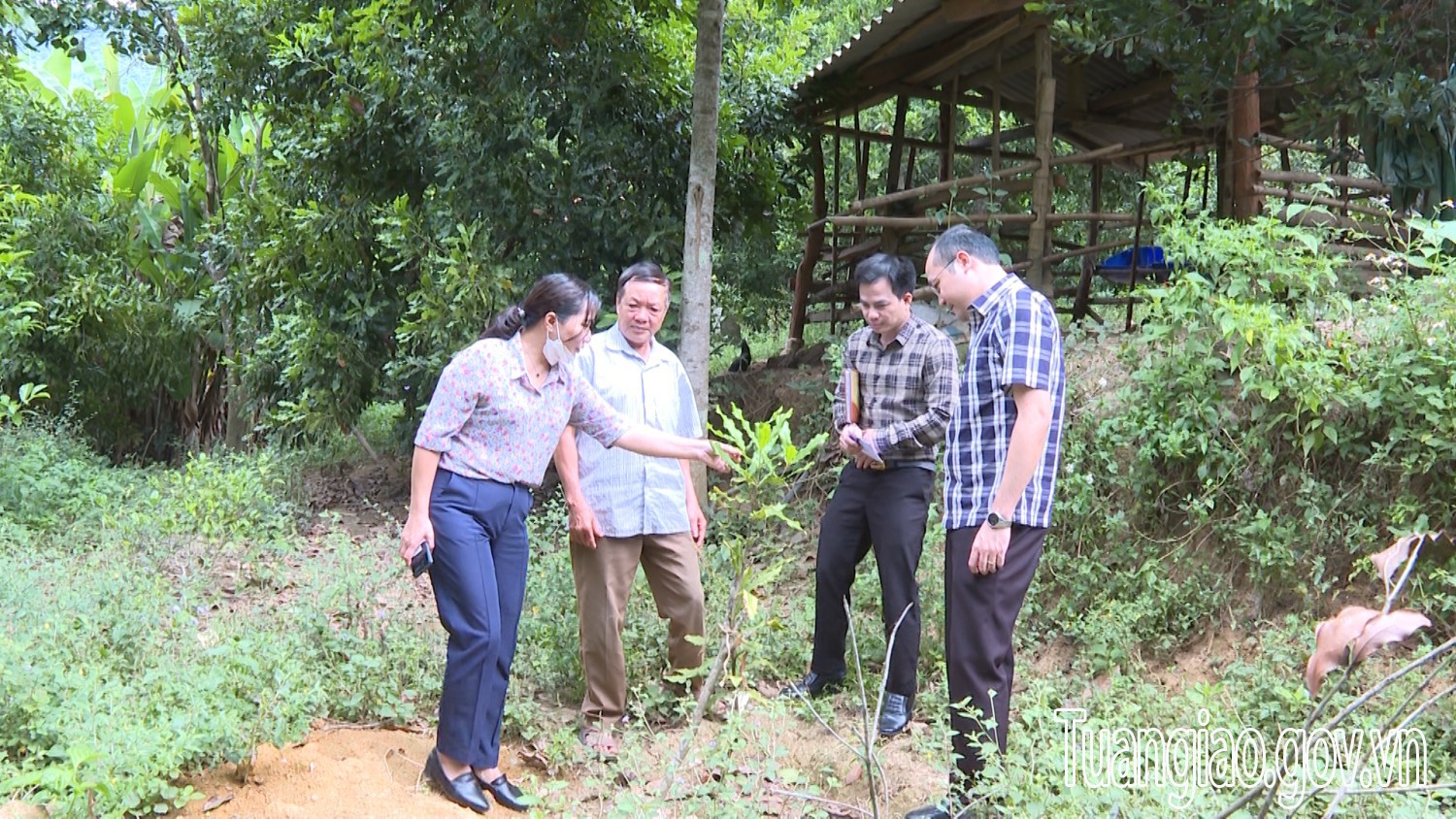 Đồng chí Lê Xuân Cảnh – Chủ tịch Hubet com huyện kiểm tra tiến độ triển khai thực hiện dự án mắc ca trên địa bàn huyện