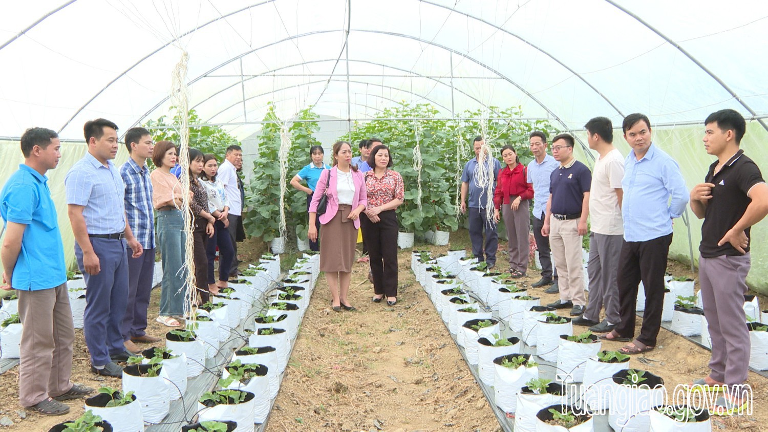 Đoàn Hubet88 huyện Bạch Thông -Tỉnh Bắc Kạn trao đổi kinh nghiệm tại huyện Tuần Giáo