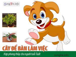 Tổ chức Hội nghị toàn quốc về đột phá phát triển khoa học, công nghệ, đổi mới sáng tạo và chuyển đổi số quốc gia