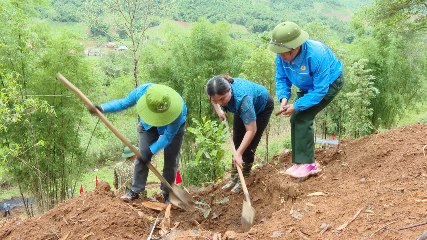 Đồng chí Lầu Thị Thanh Hương Phó Chủ tịch Thường trực LĐLĐ tỉnh Đồng chí Phạm Thị Tuyên Phó Chủ tịch Hubet com huyện trồng cây Mắc ca